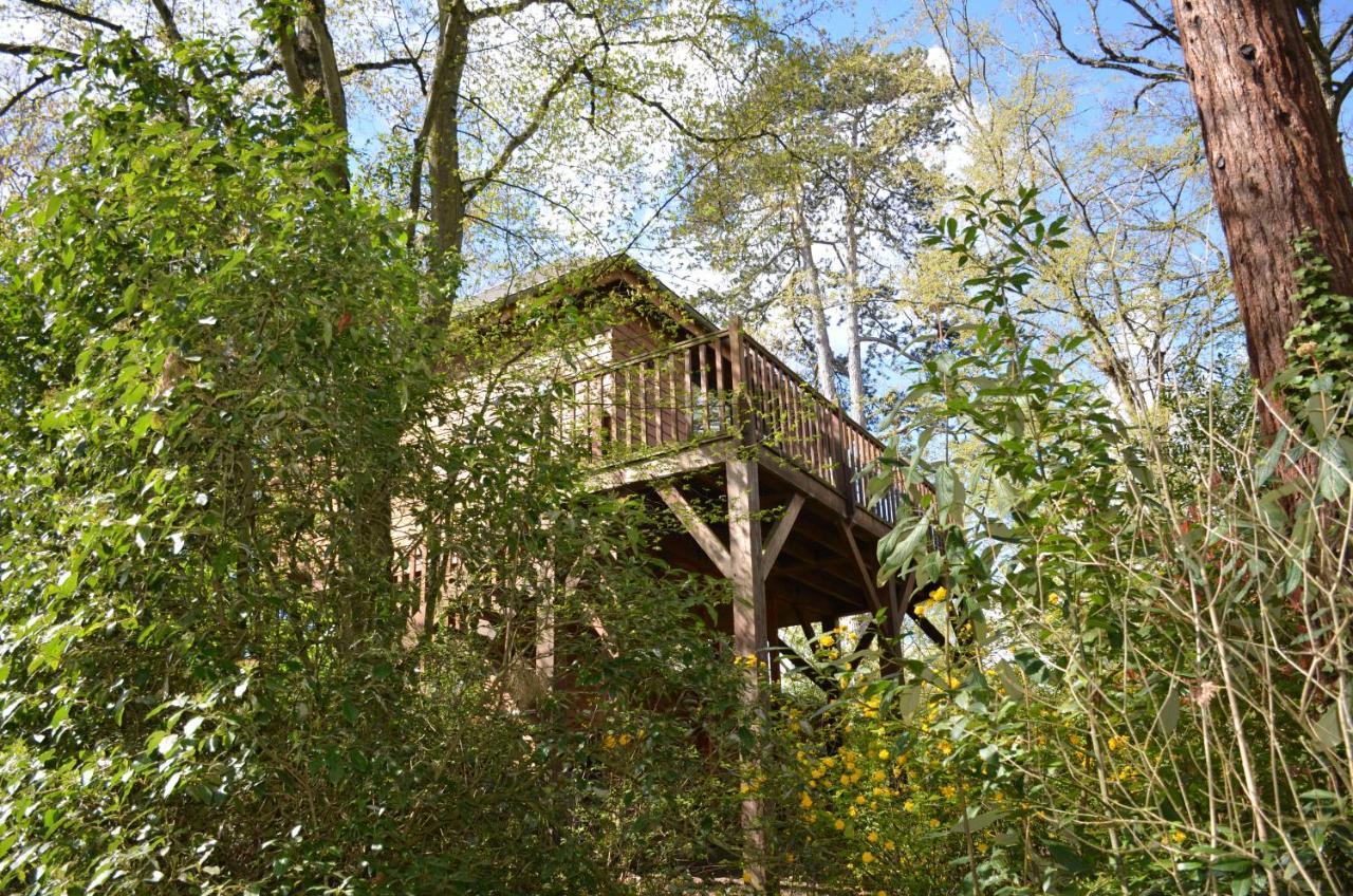 מלון אמבואה Manoir Du Parc (Adults Only) מראה חיצוני תמונה
