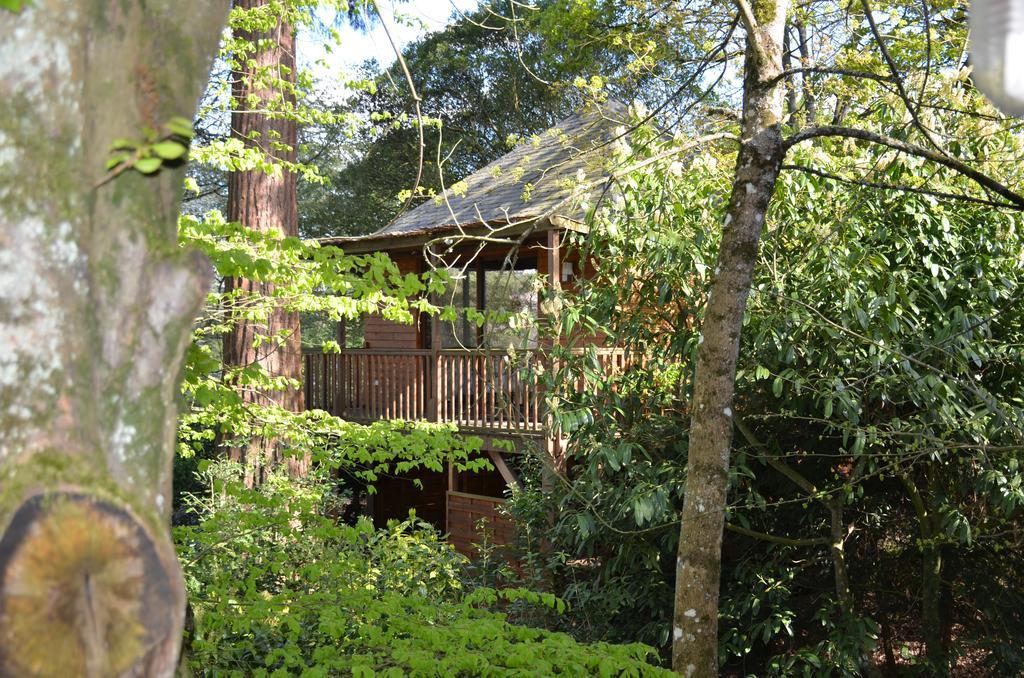 מלון אמבואה Manoir Du Parc (Adults Only) מראה חיצוני תמונה