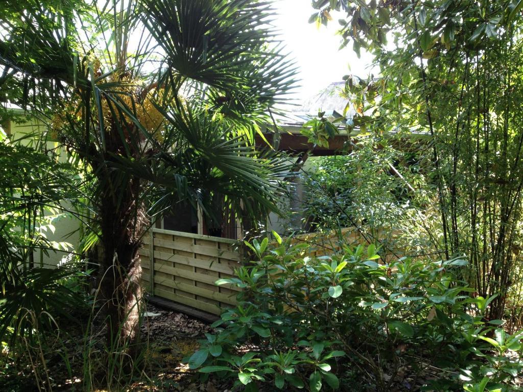 מלון אמבואה Manoir Du Parc (Adults Only) חדר תמונה